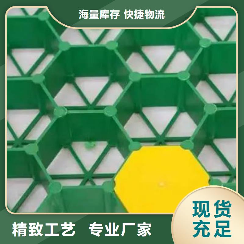 植草格水泥化粪池层层质检