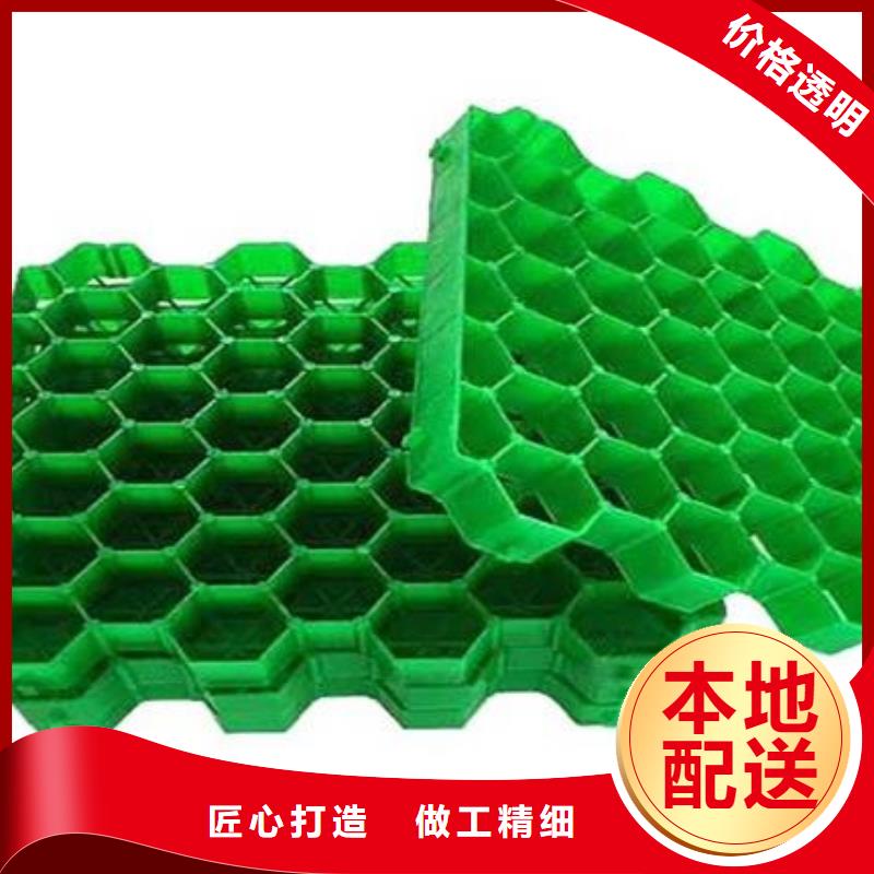 植草格水泥化粪池精选货源