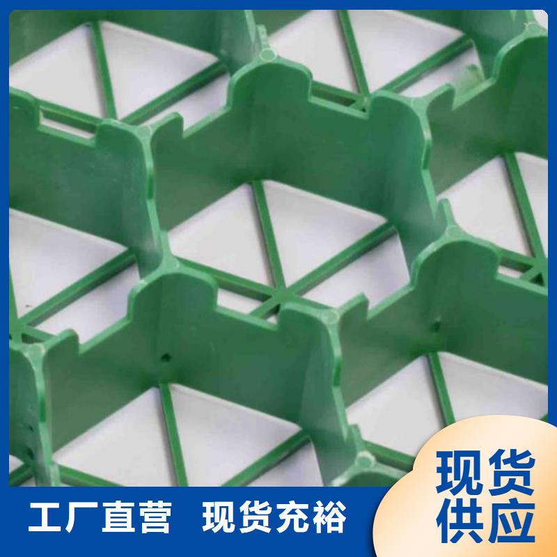植草格,【植草格】今日新品