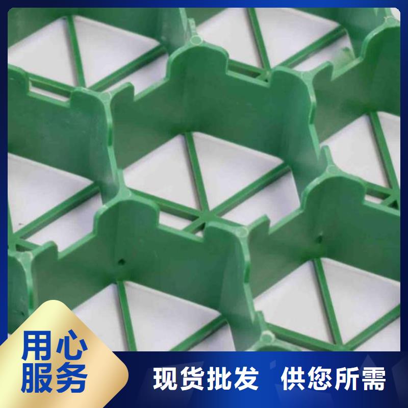 植草格水泥化粪池精选货源