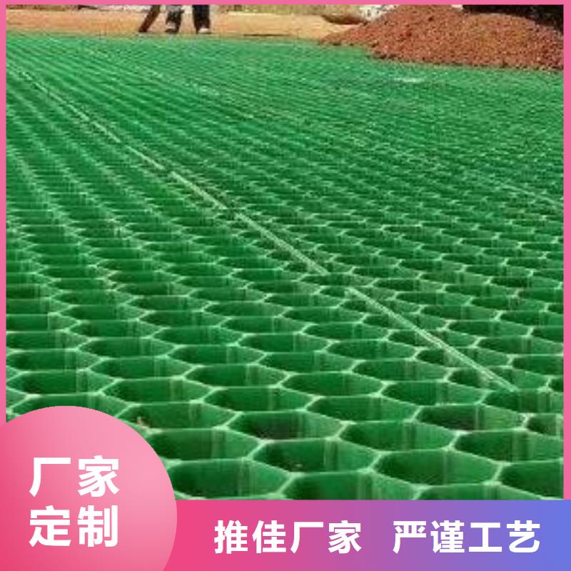 植草格-排水板高质量高信誉