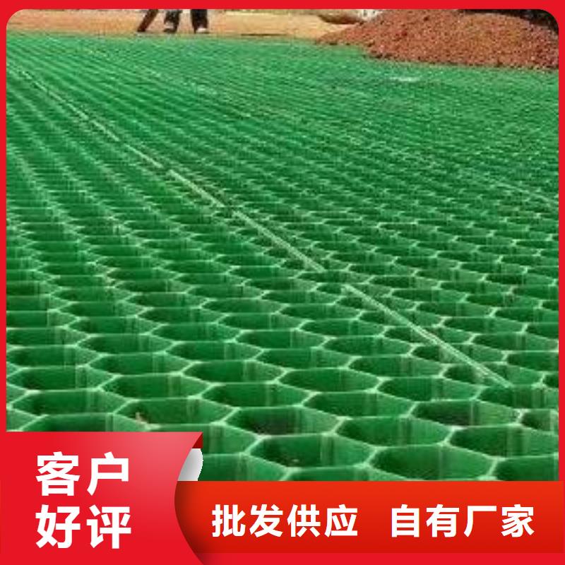 植草格排水板型号齐全