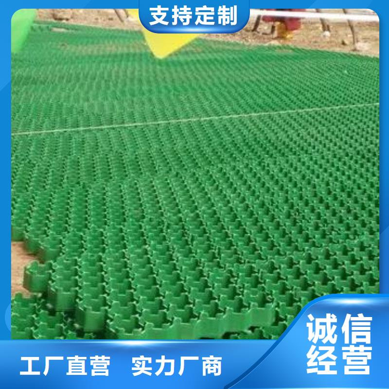植草格防护虹吸排水收集系统就近发货