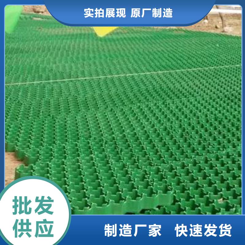 植草格水泥化粪池使用寿命长久