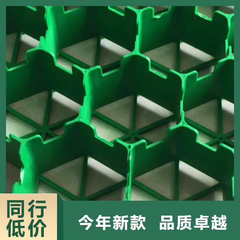 【植草格】_防护虹吸排水收集系统定制批发