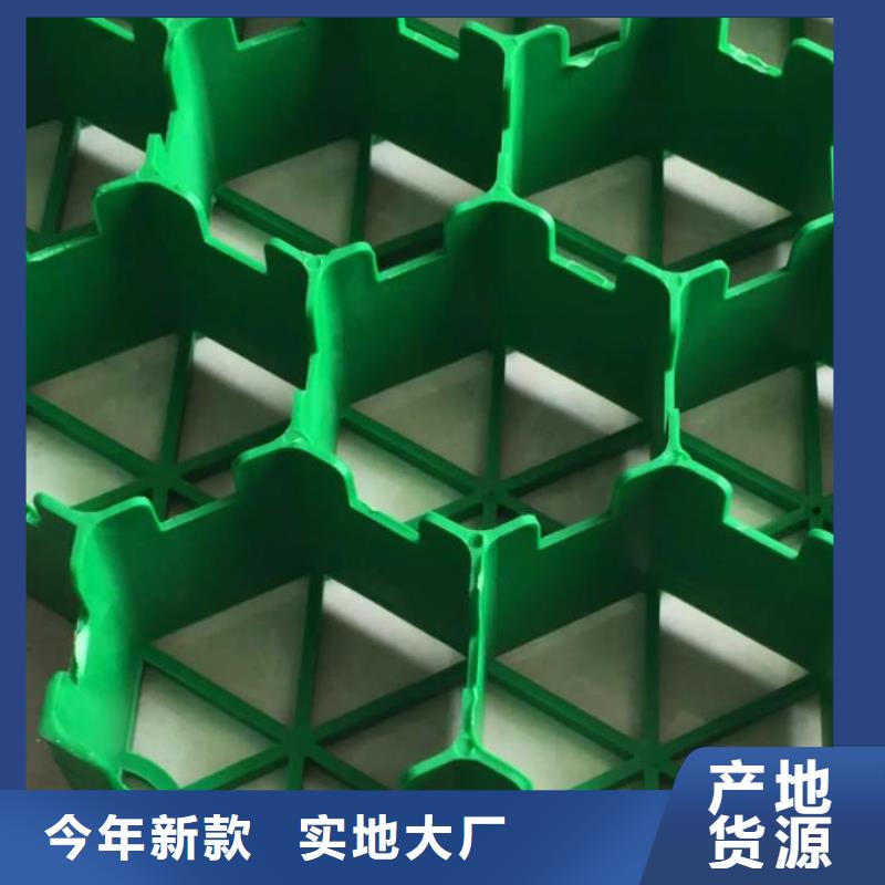 植草格-排水板不断创新