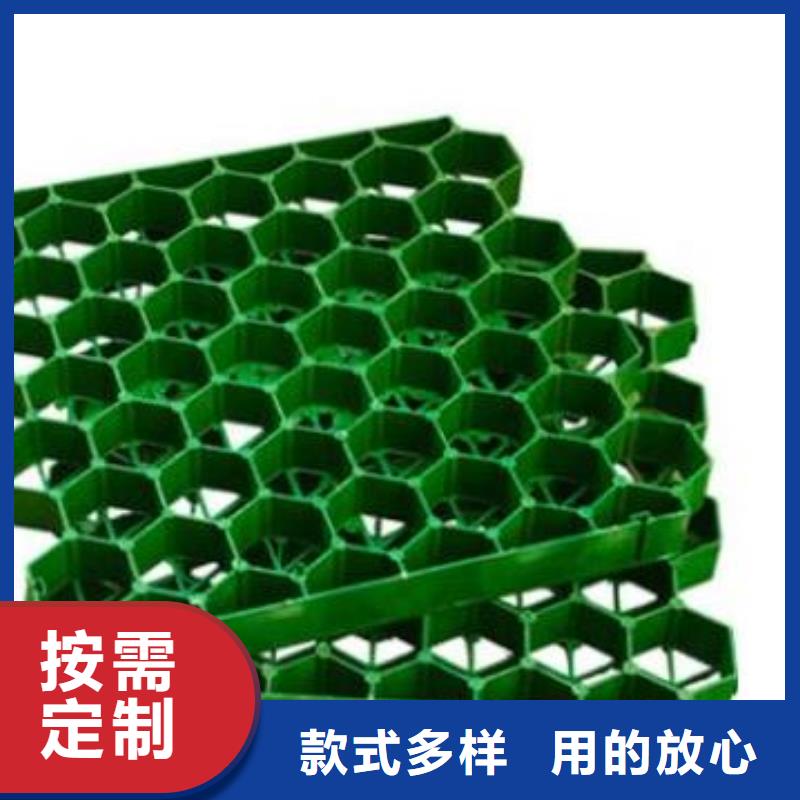 植草格水泥化粪池畅销本地