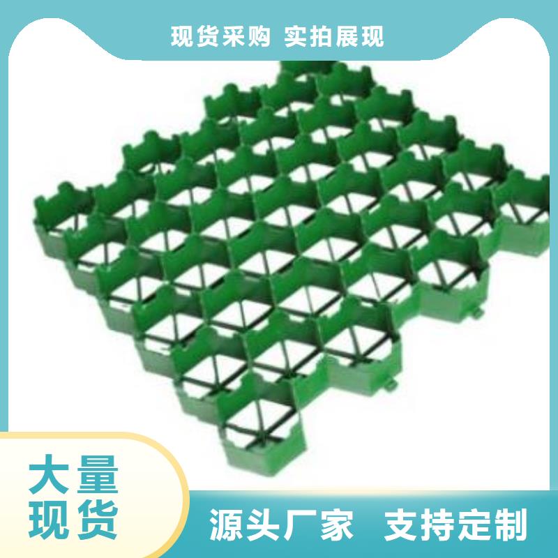 植草格-排水板高质量高信誉