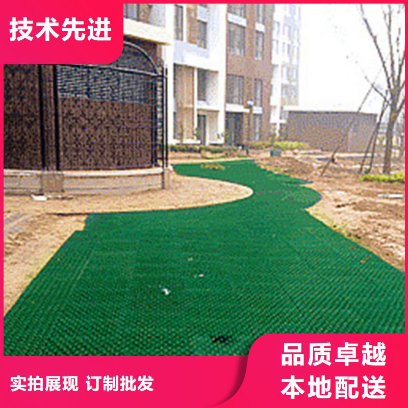 植草格_排水板当地货源