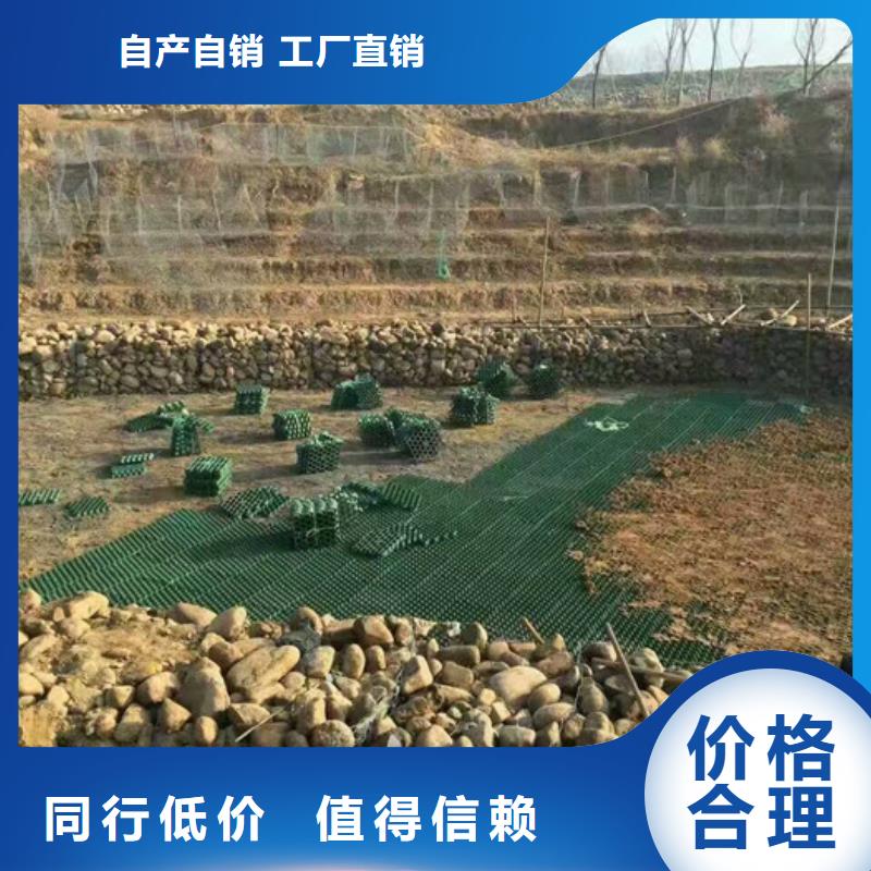 植草格植草格库存量大