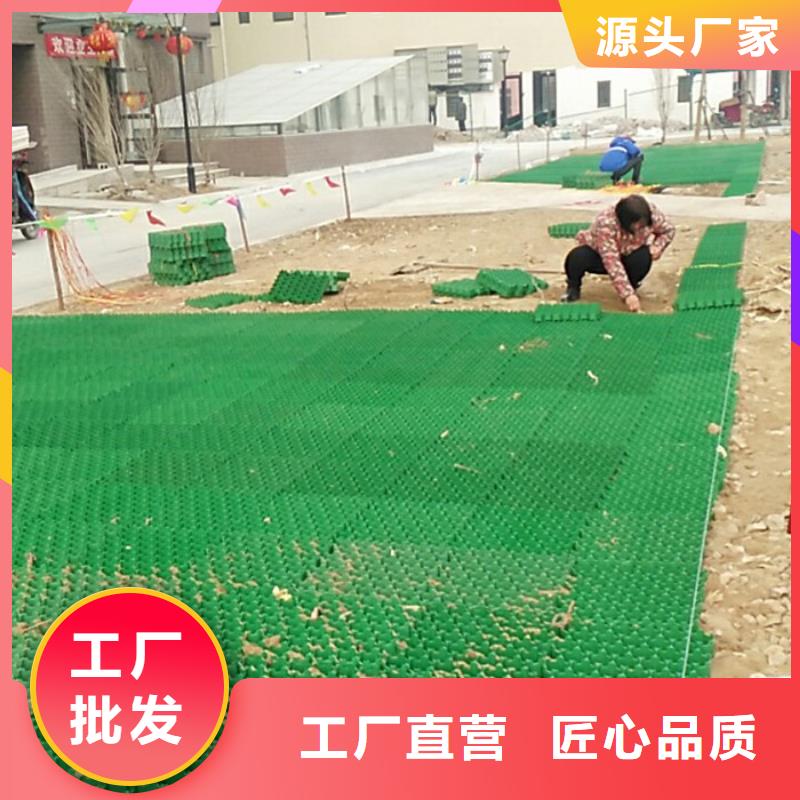 植草格-防护虹吸排水收集系统就近发货