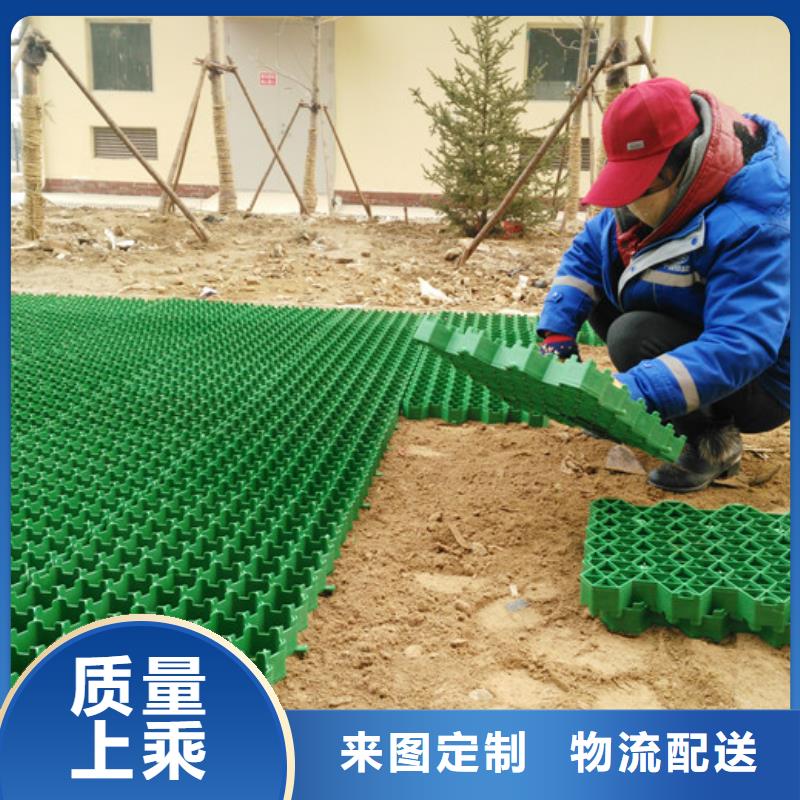 植草格排水板直销厂家