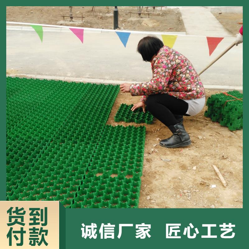 植草格水泥化粪池一手价格