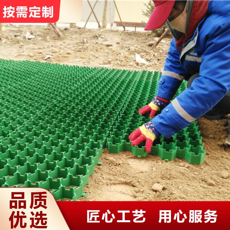 植草格-防护虹吸排水收集系统品牌企业