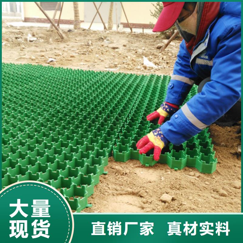 植草格厂家