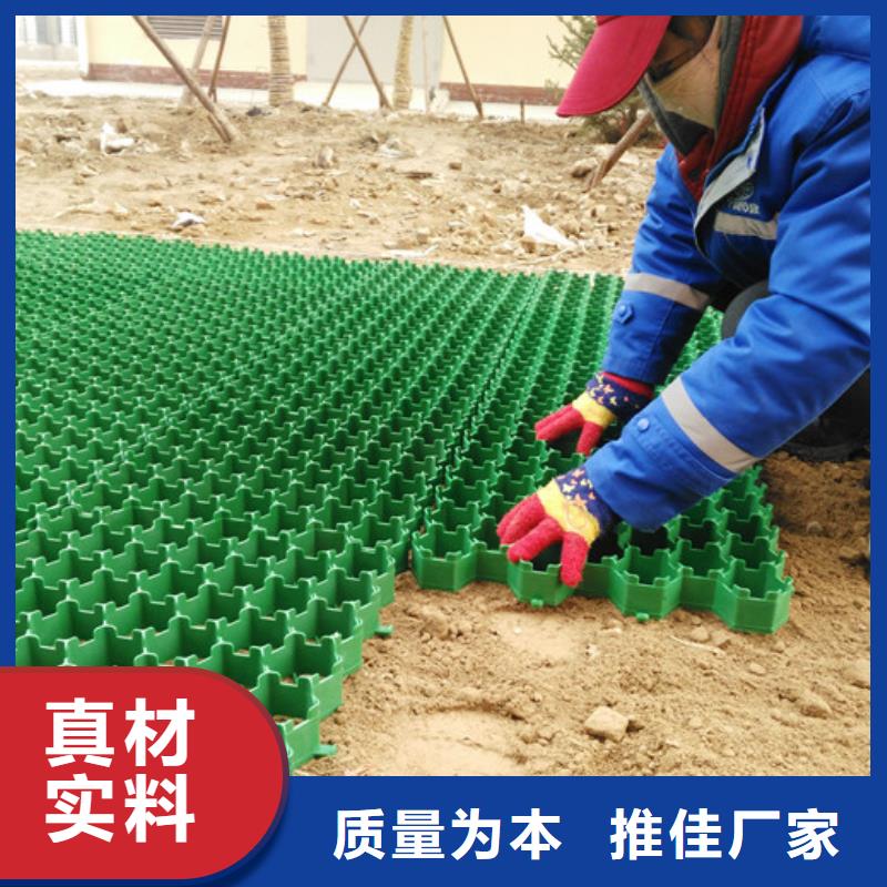 植草格_排水板当地货源