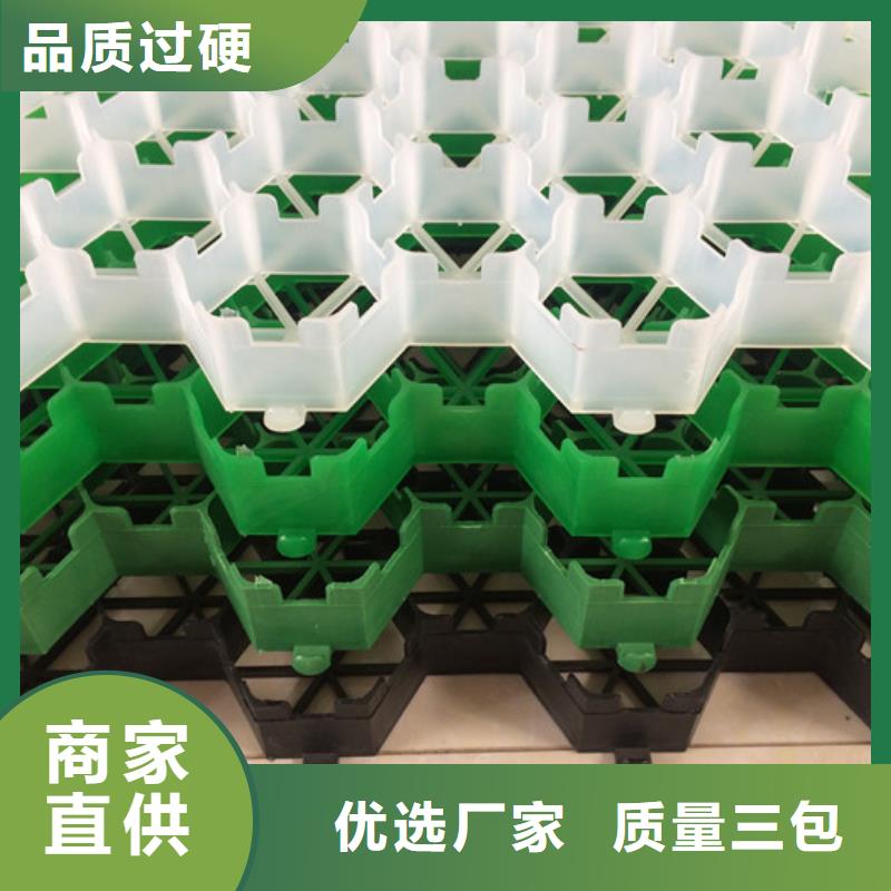 植草格水泥化粪池一手价格