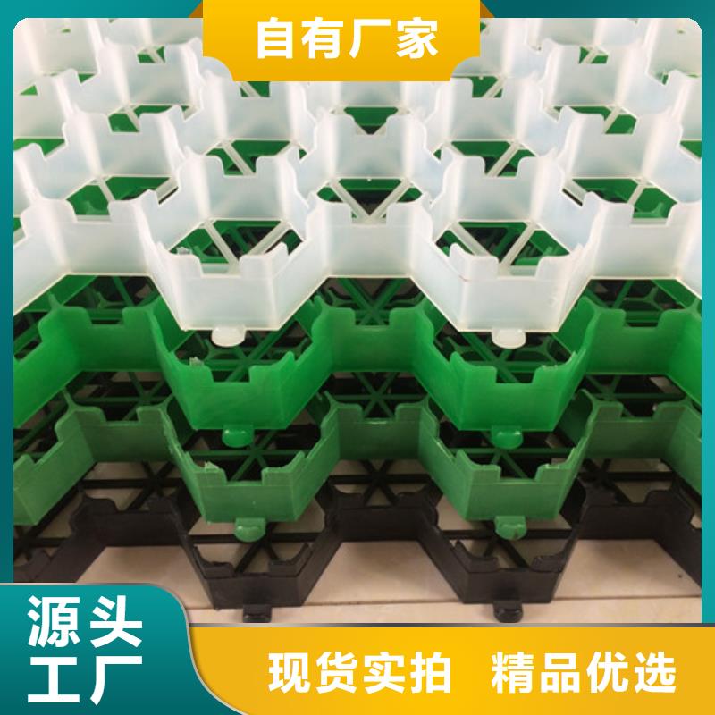 【植草格水泥化粪池源头厂家经验丰富】