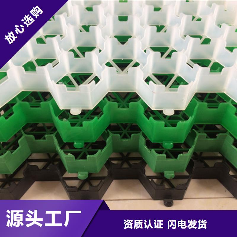植草格植草格多年行业经验