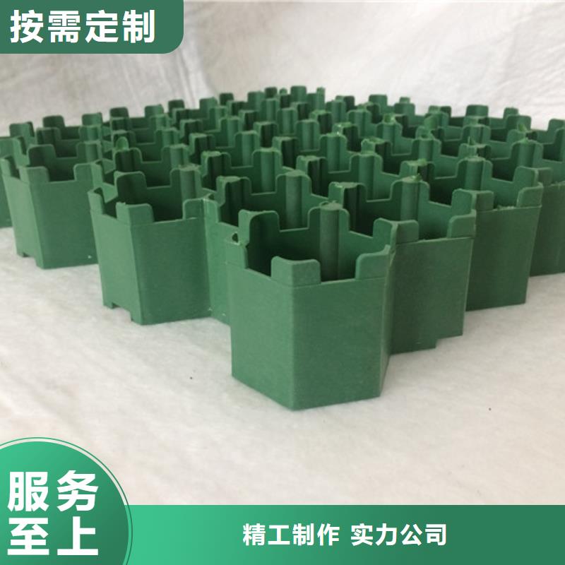 植草格排水板源头直供