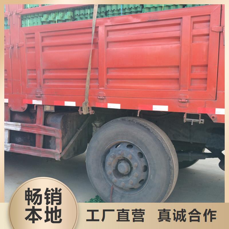 【植草格】排水板源头厂家供应