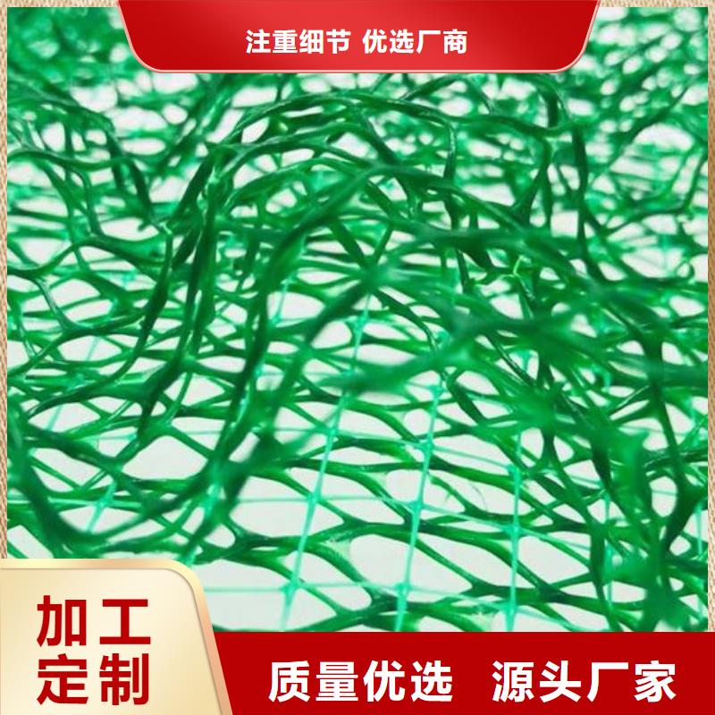 三维植被网【防护虹吸排水收集系统】定制零售批发