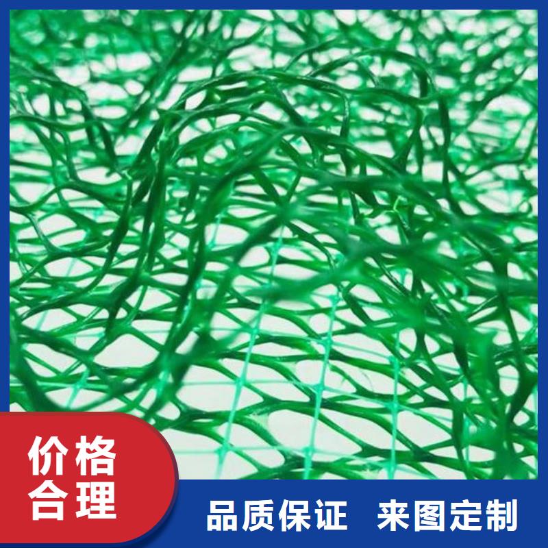 【三维植被网】_车库虹吸排水系统实体诚信厂家