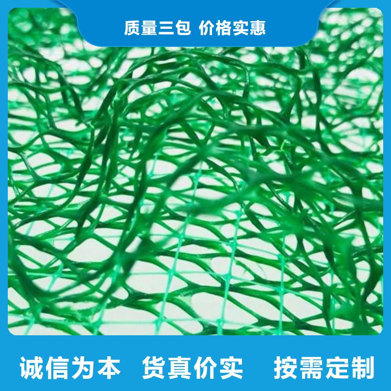 【三维植被网排水板匠心品质】