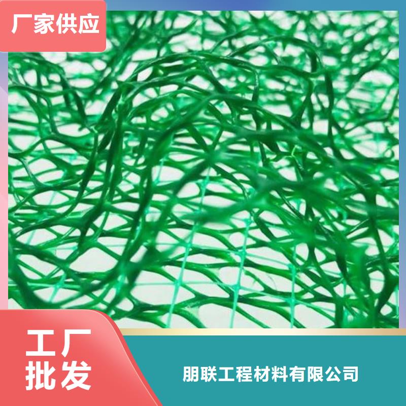 【三维植被网】植草格实力公司