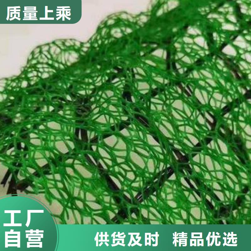 【三维植被网】_车库虹吸排水系统实体诚信厂家