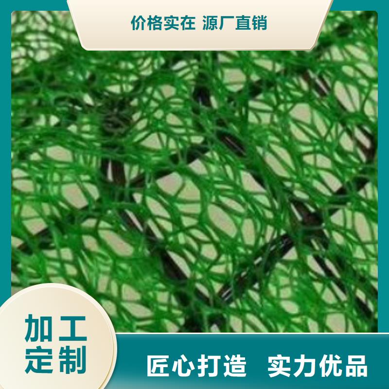 【三维植被网防护虹吸排水收集系统价格公道合理】