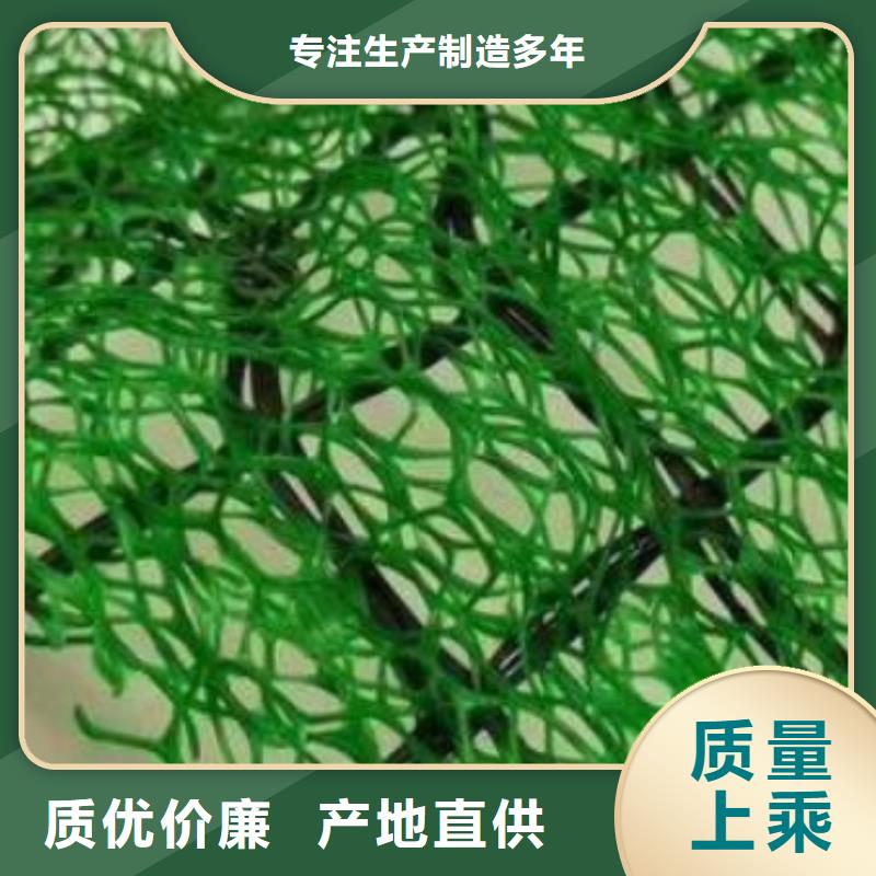 三维植被网水泥化粪池实力才是硬道理