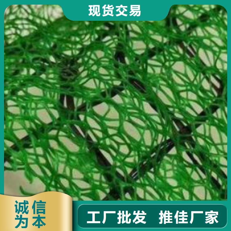 【三维植被网排水板生产厂家】