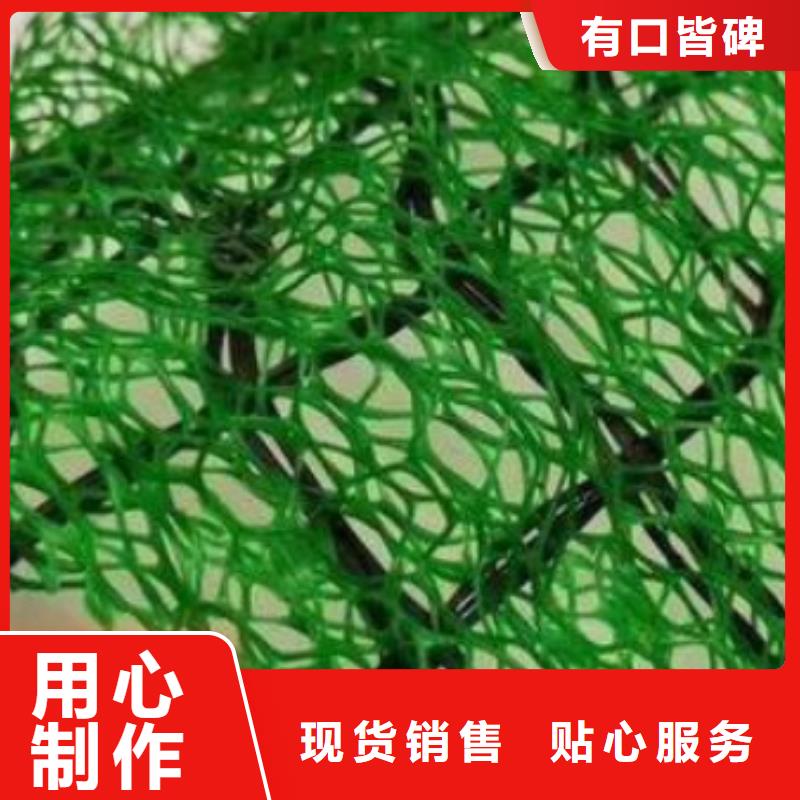 三维植被网排水板定金锁价