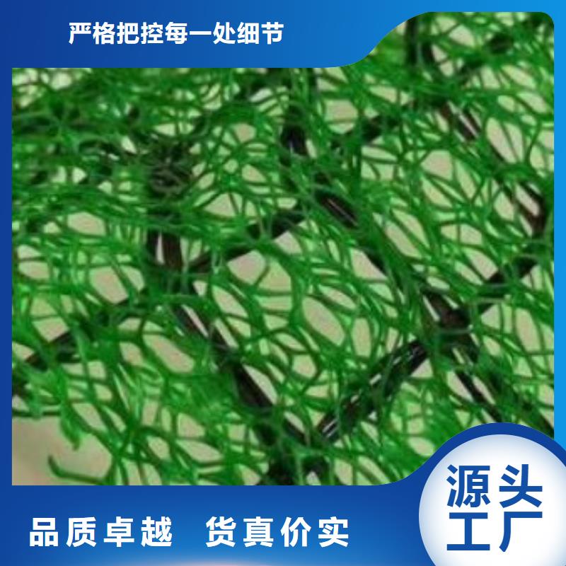 三维植被网植草格工厂批发