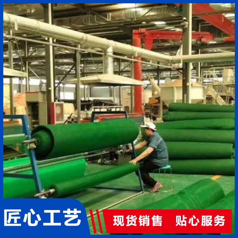 三维植被网_车库虹吸排水系统优质材料厂家直销
