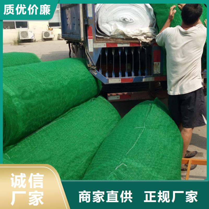 三维植被网植草格厂家直销