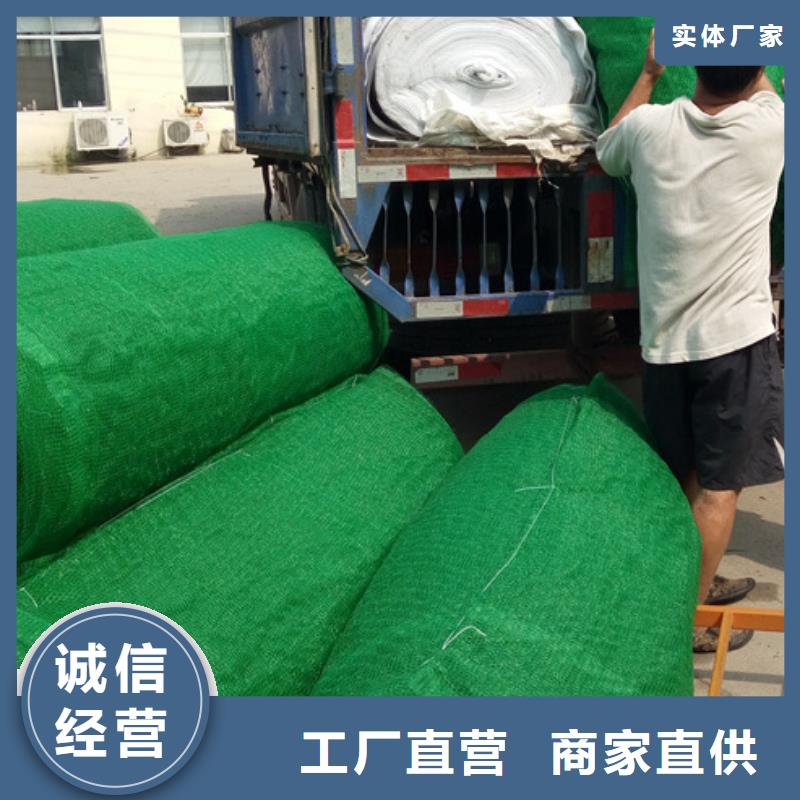 三维植被网-排水板实力优品
