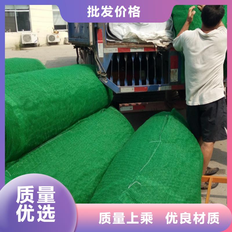 三维植被网_排水板实力商家