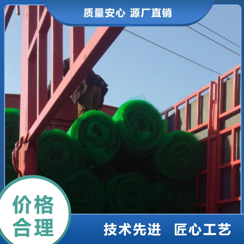 【三维植被网】,防护虹吸排水收集系统自产自销