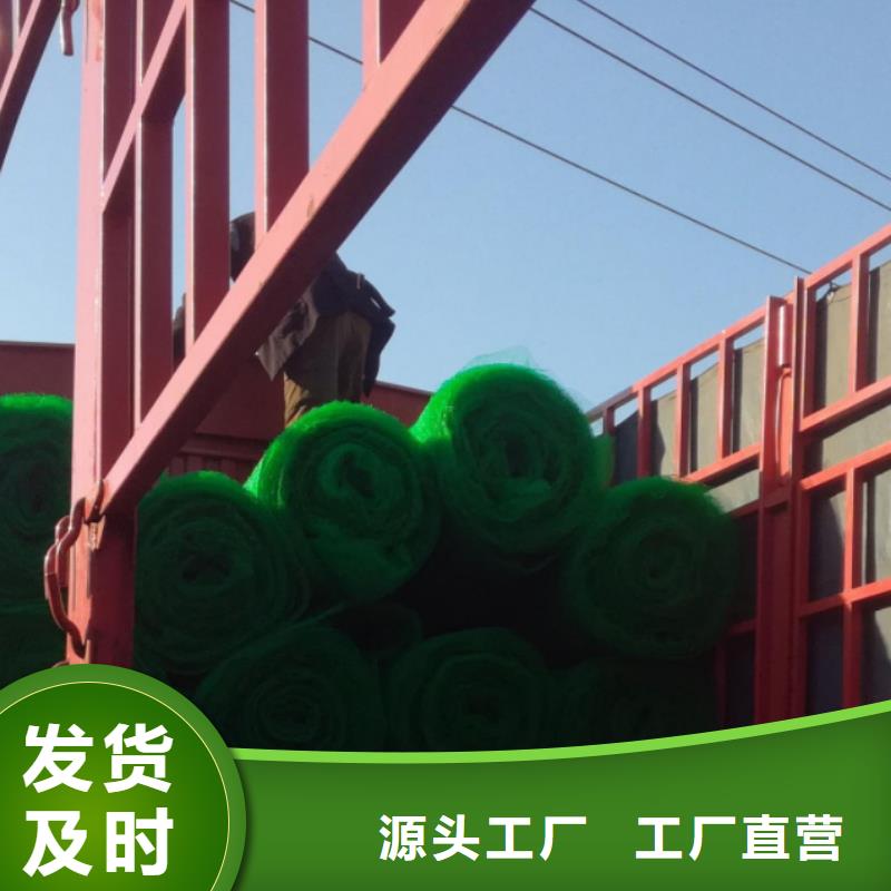 【三维植被网车库虹吸排水系统一个起售】