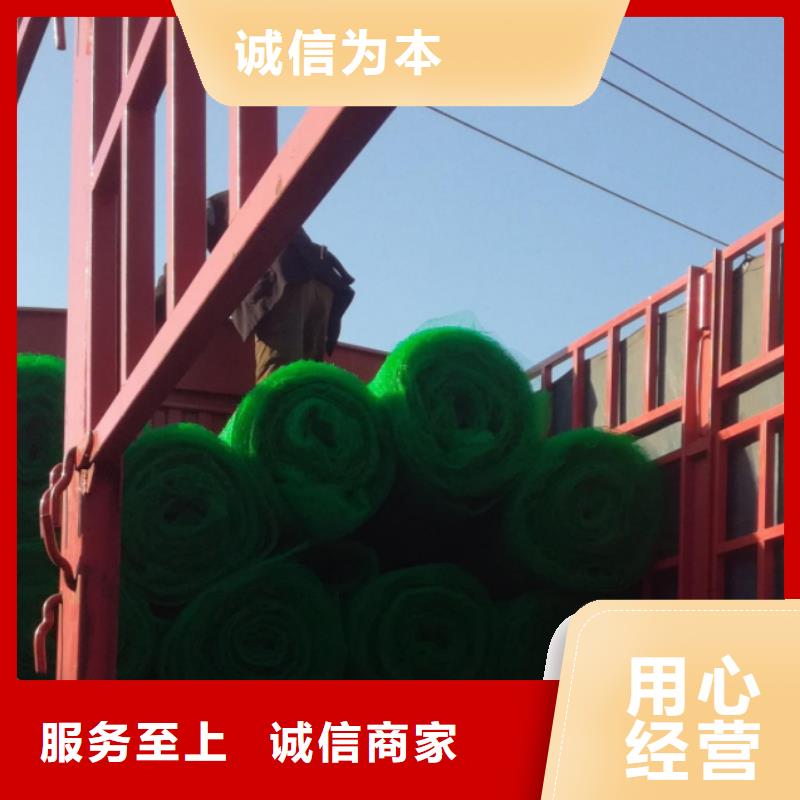 【三维植被网排水板本地厂家值得信赖】