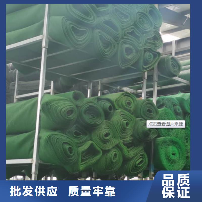 【三维植被网,排水板诚信厂家】