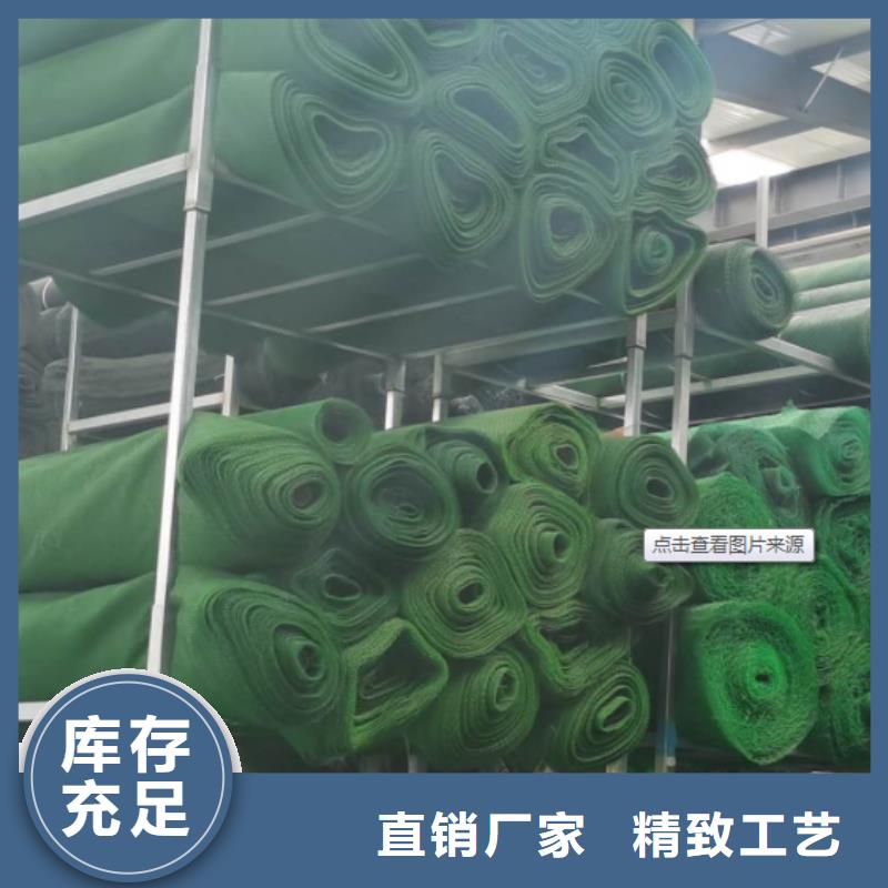 三维植被网排水板定金锁价