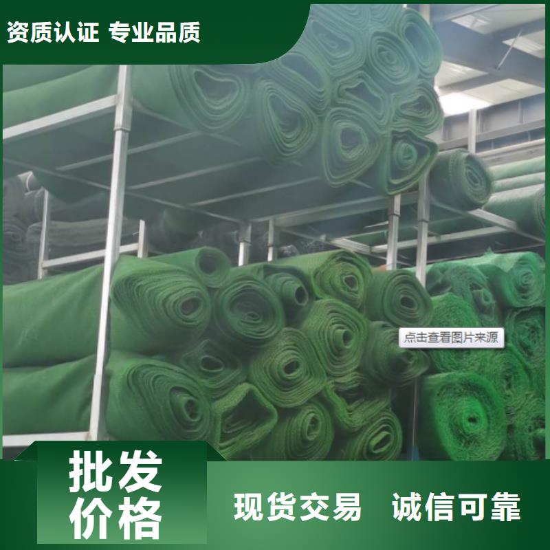 三维植被网植草格现货满足大量采购