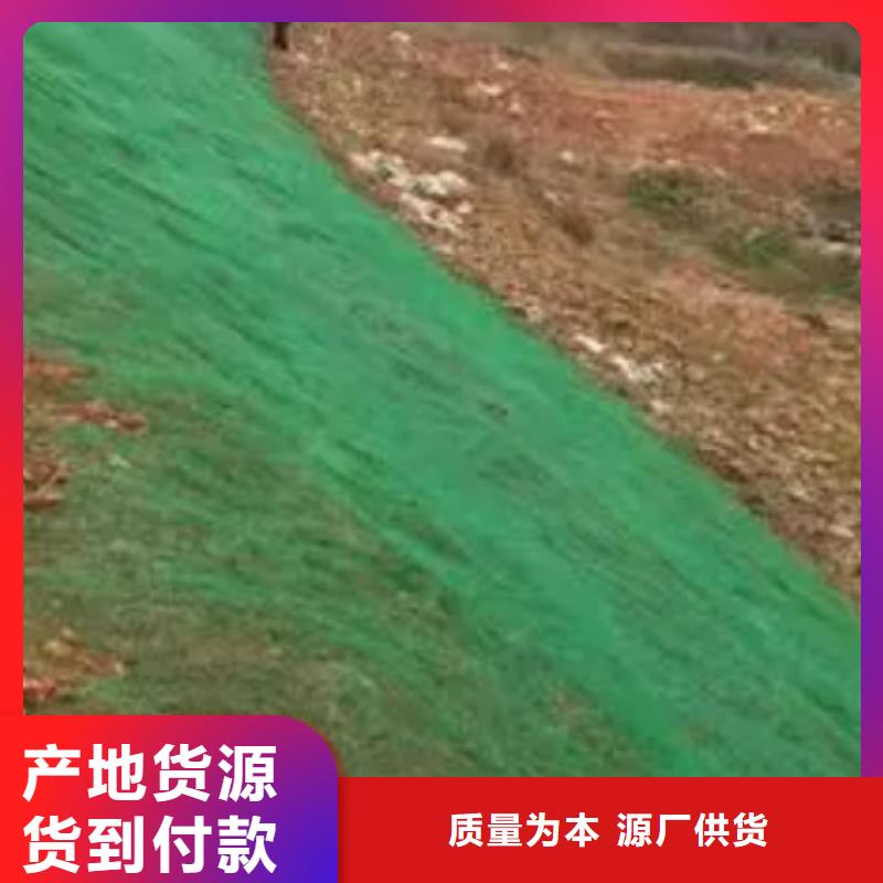 三维植被网,排水板全新升级品质保障