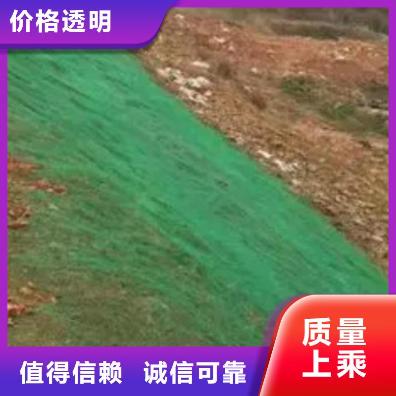 三维植被网排水板精工制作