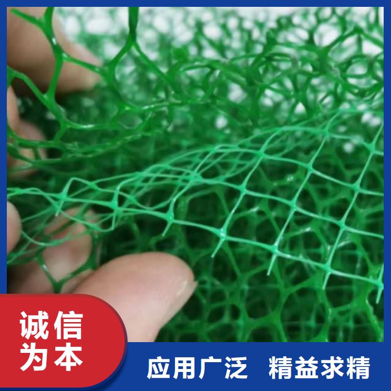 三维植被网【水泥化粪池】种类丰富
