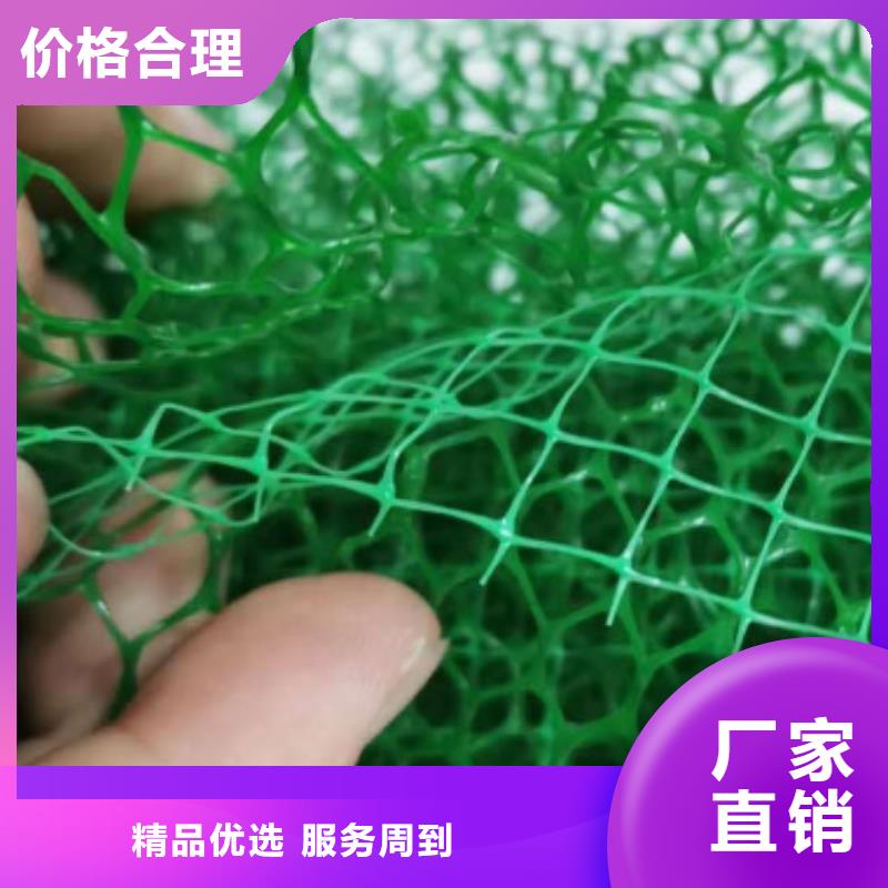 三维植被网植草格保障产品质量