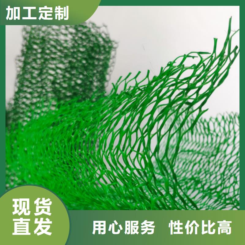 三维植被网_防护虹吸排水收集系统工艺层层把关